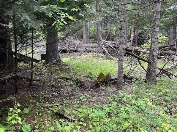 318 Lakeview Dr, Bayview, ID 83803