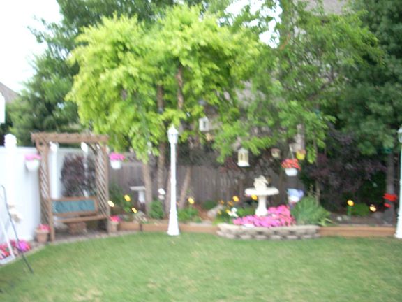 Back yard nicely ladnscaped