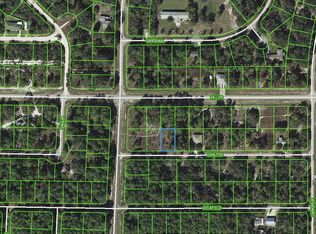 3153 Carlton Ave, Lake Placid, FL 33852