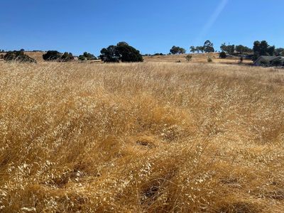 9588 Paraiso Blvd, La Grange, CA, 95329