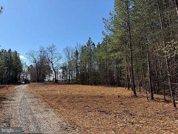 5th image of LOT Mountain Cut Rd #B