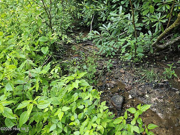 4th image of 31 Acres Upper Bear Paw Road