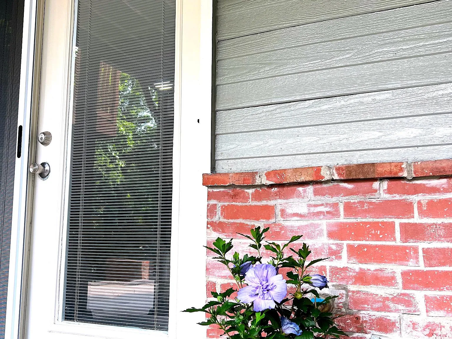 Studio, 364 sqft, $1,100 — Photo 1