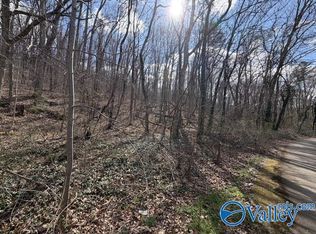 3711 Wilborn Ave NE, Fort Payne, AL 35967