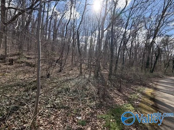 3711 Wilborn Ave NE, Fort Payne, AL 35967