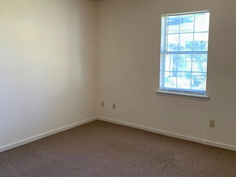 1438 Green St — Photo 13