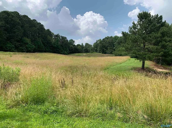 2571 County Road 223, Cullman, AL 35057