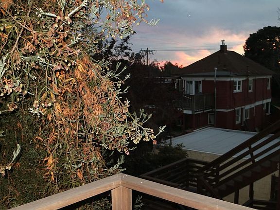 Sunset Views