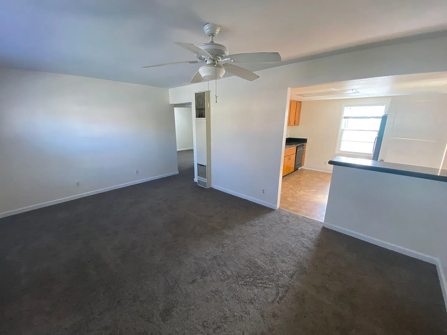 North Reno - 3 Bed 1.5 Bath - New Carpet & Paint — Photo 2