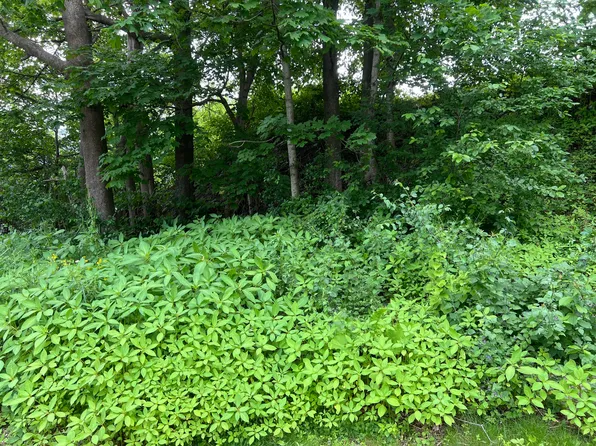 Lot 76A Eastern Road, Warren, ME 04864