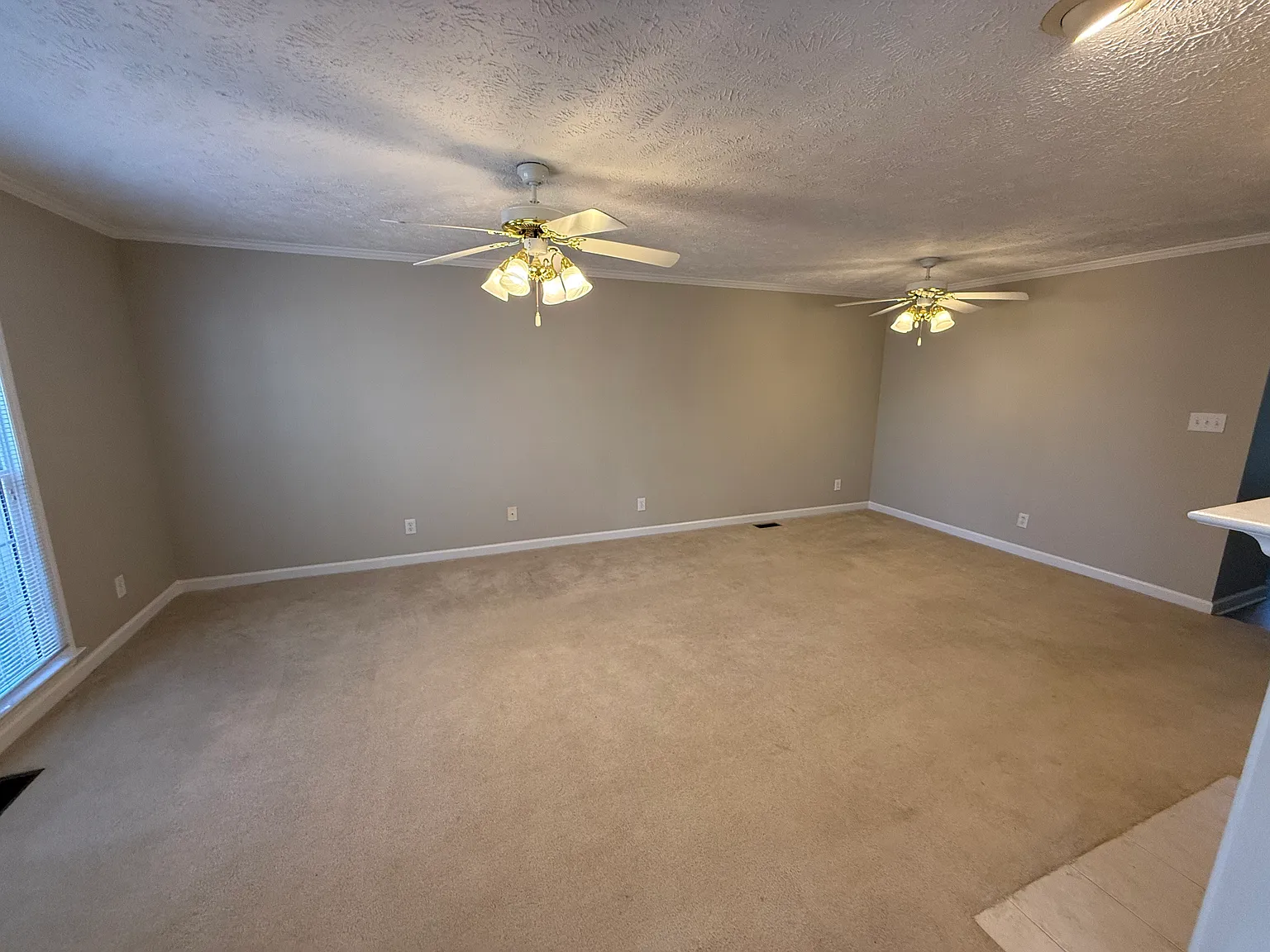 700 Amber Leaf Dr — Photo 3