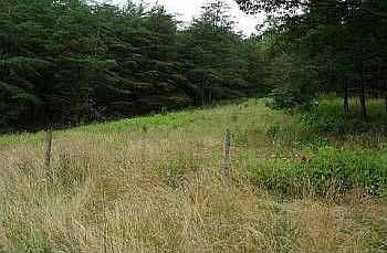 5th image of 2756 Craig Creek Rd