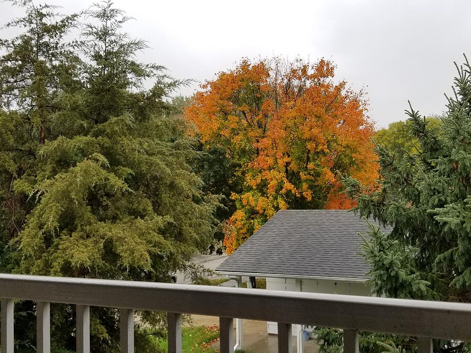 deck views to the south