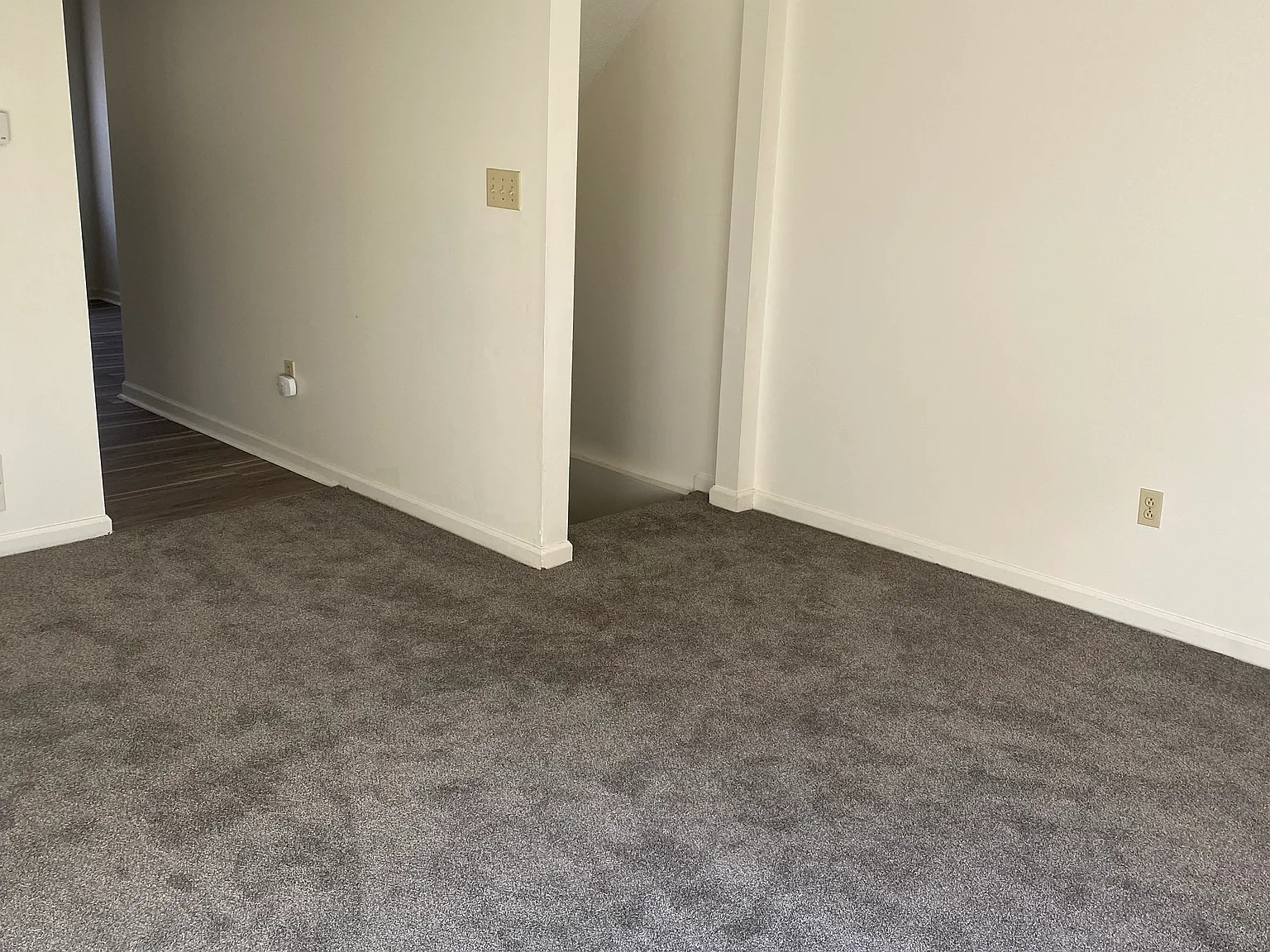 2 bed, 1.5 bath, 1000 sqft, $1,100 — Photo 3