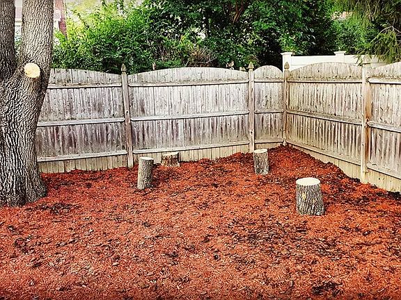 side backyard