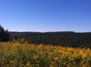 2960 Suffern Hill Rd, Wellsburg, NY 14894