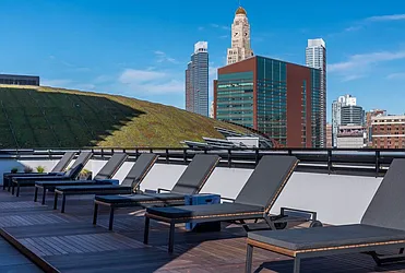 Rented by Bold New York