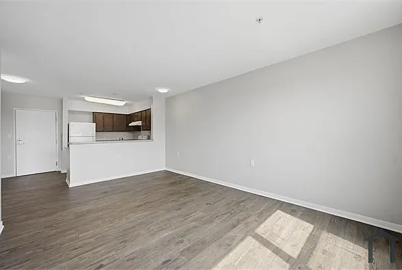 1200 Martin Luther King Jr Blvd — Photo 24
