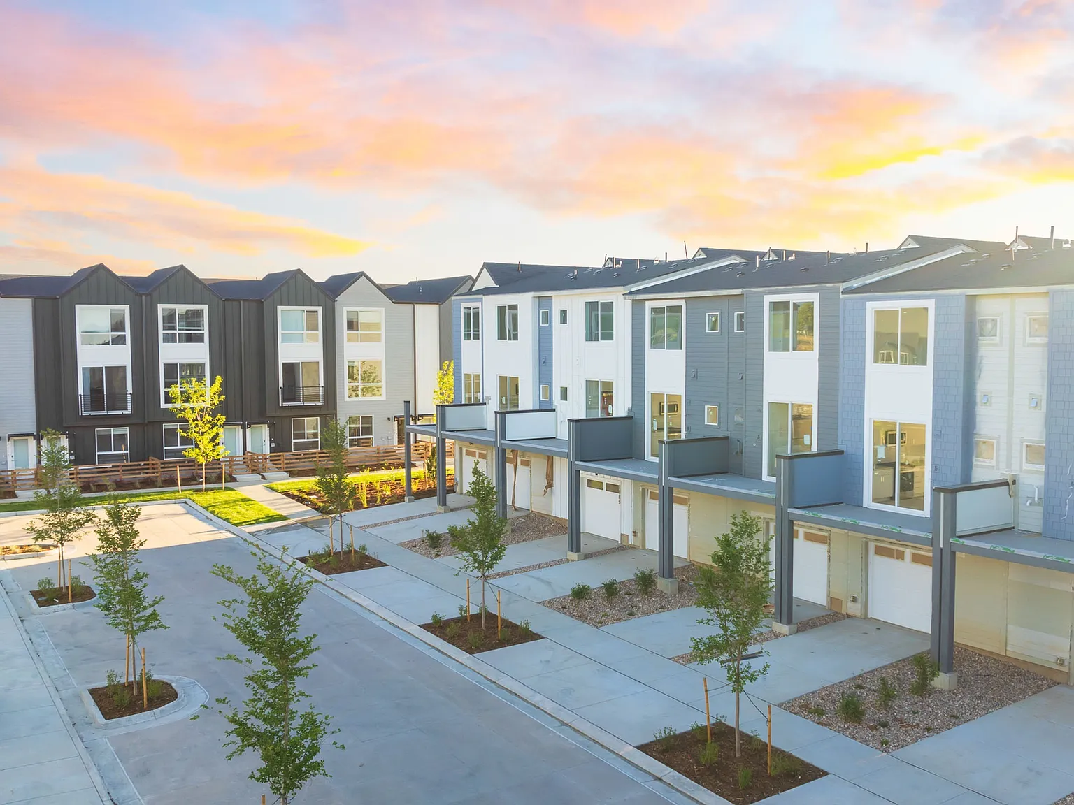 Lupine Longmont — Photo 2