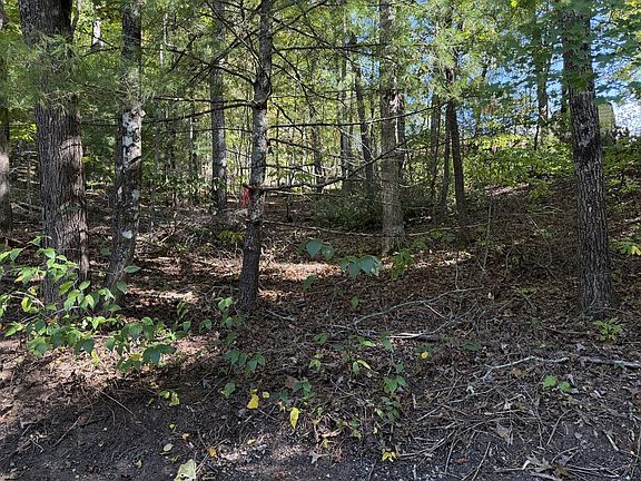 5th image of Amethyst Ln