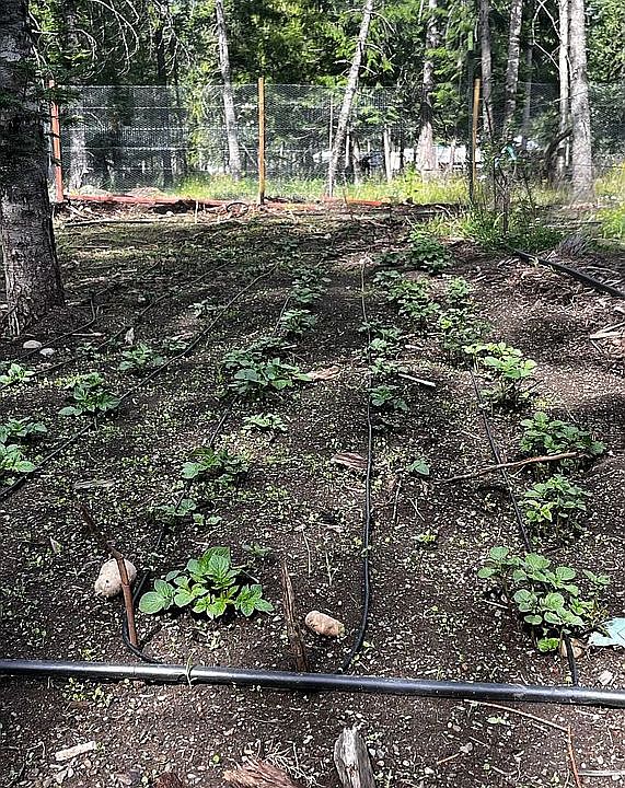 2nd image of 265 Spring Ln