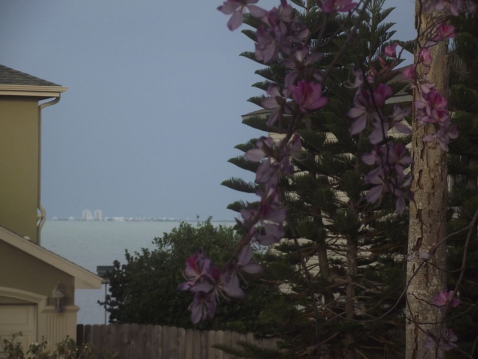 1st image of 149 Beach Blvd