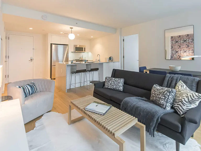 Living Room and Kitchen