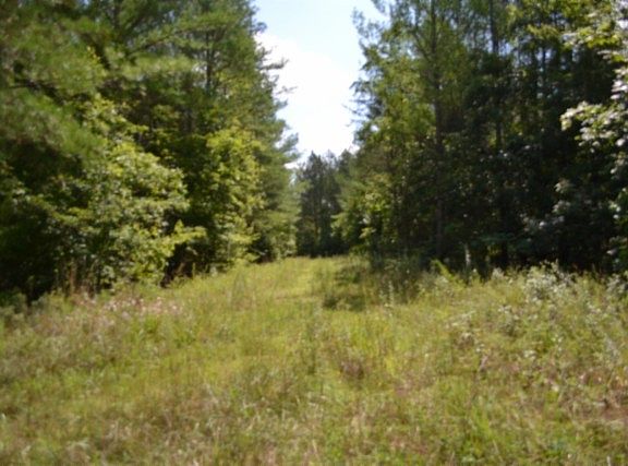 2nd image of 318 Rhodas Way Lot 18