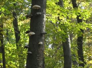 4718 Fox Tower Rd, Smithsburg, MD 21783