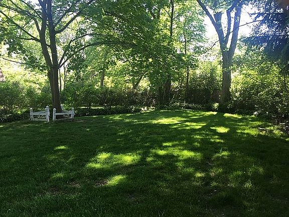 Backyard - large & private