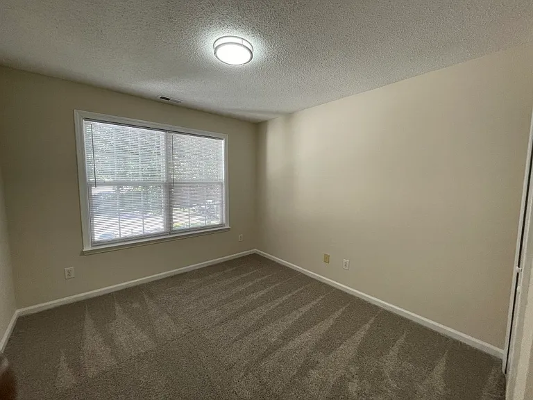 113 Gingerlilly Ct — Photo 10