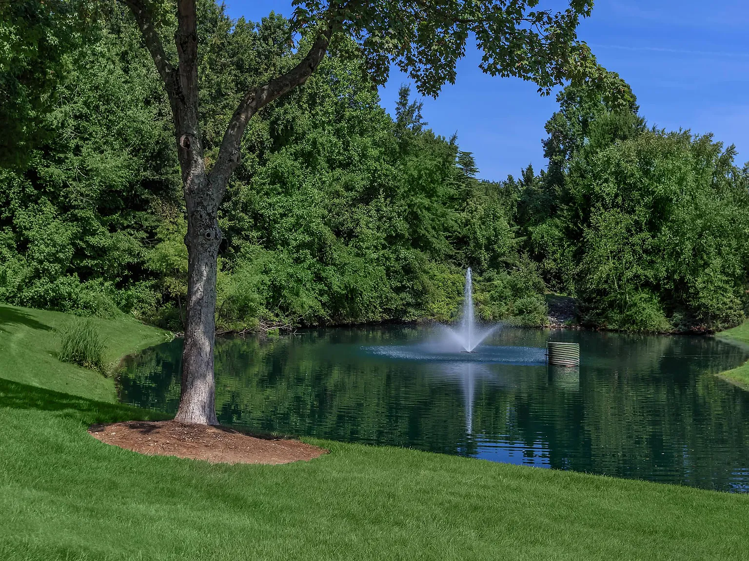 Huntsview Apartments — Photo 4