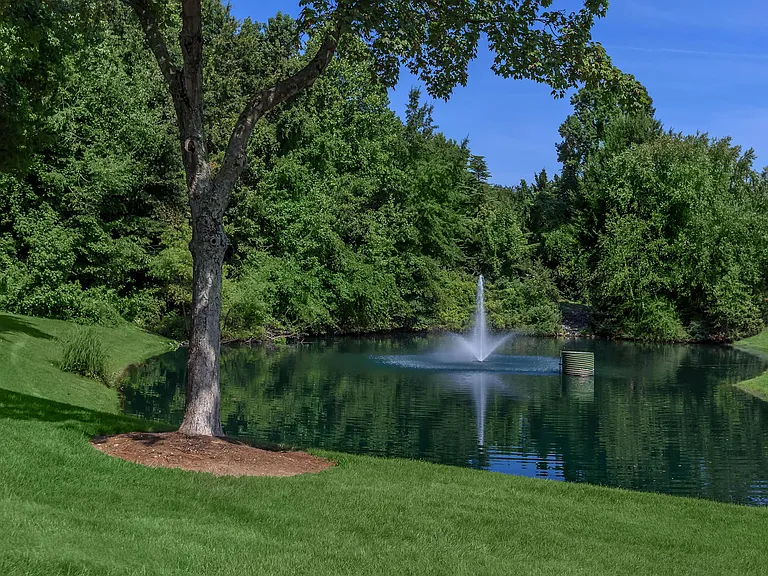 Peaceful Pond with Fountain Surrounded by Lush Greenery