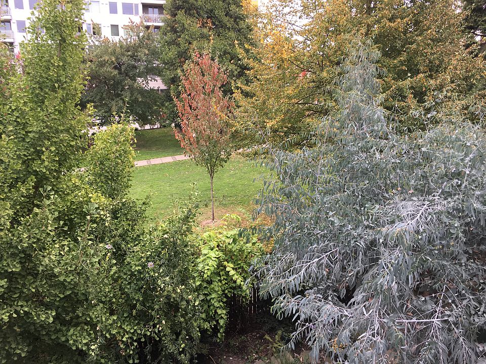 View from balcony