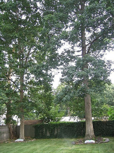 2nd image of 3820 Lawrence Ave