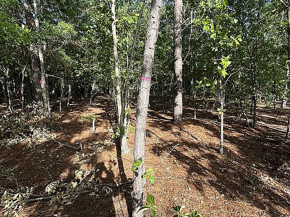 3rd image of LOT 1 Persimmons Dr