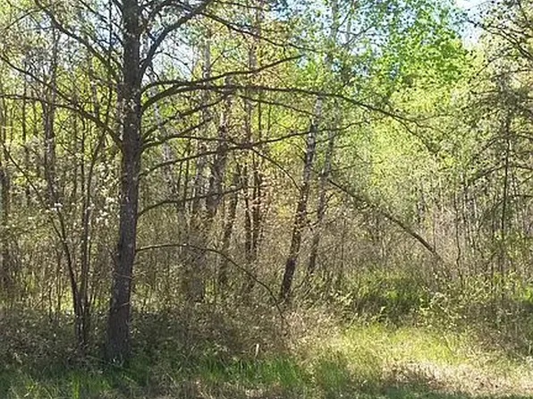 57500 Nature Ave, Pine City, MN 55063