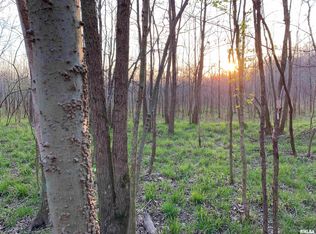 0 Buffalo Rd, Omaha, IL 62871