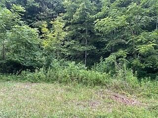2nd image of 167 Charlie Harrell Ln