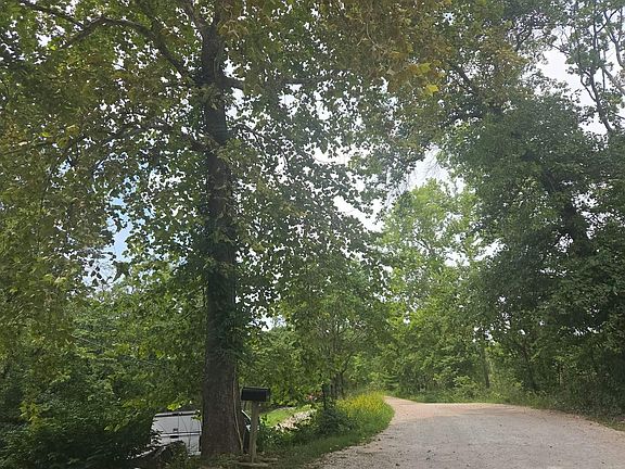 4th image of 848 White Rd