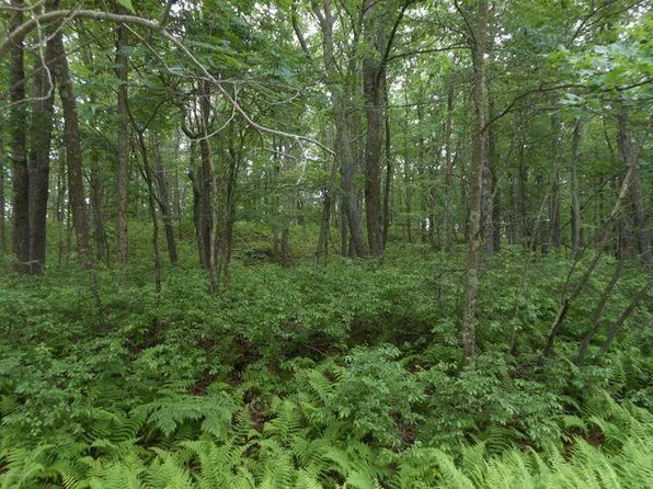 Mountain Ter, White Haven, PA 18661