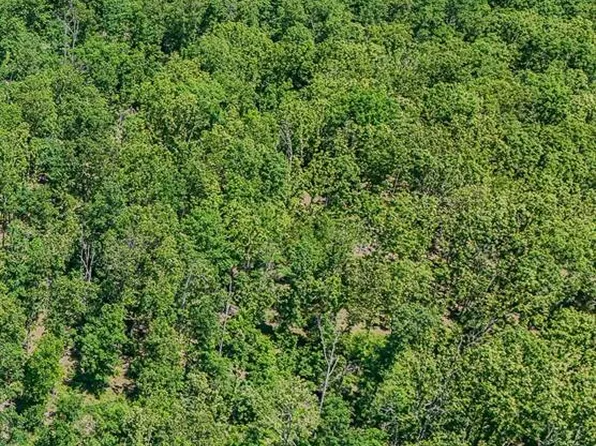 0 County Road 2613, Lenox, MO 65541