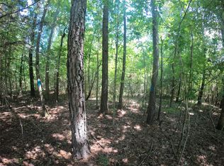 0 Lewis Rd, Shongaloo, LA 71072