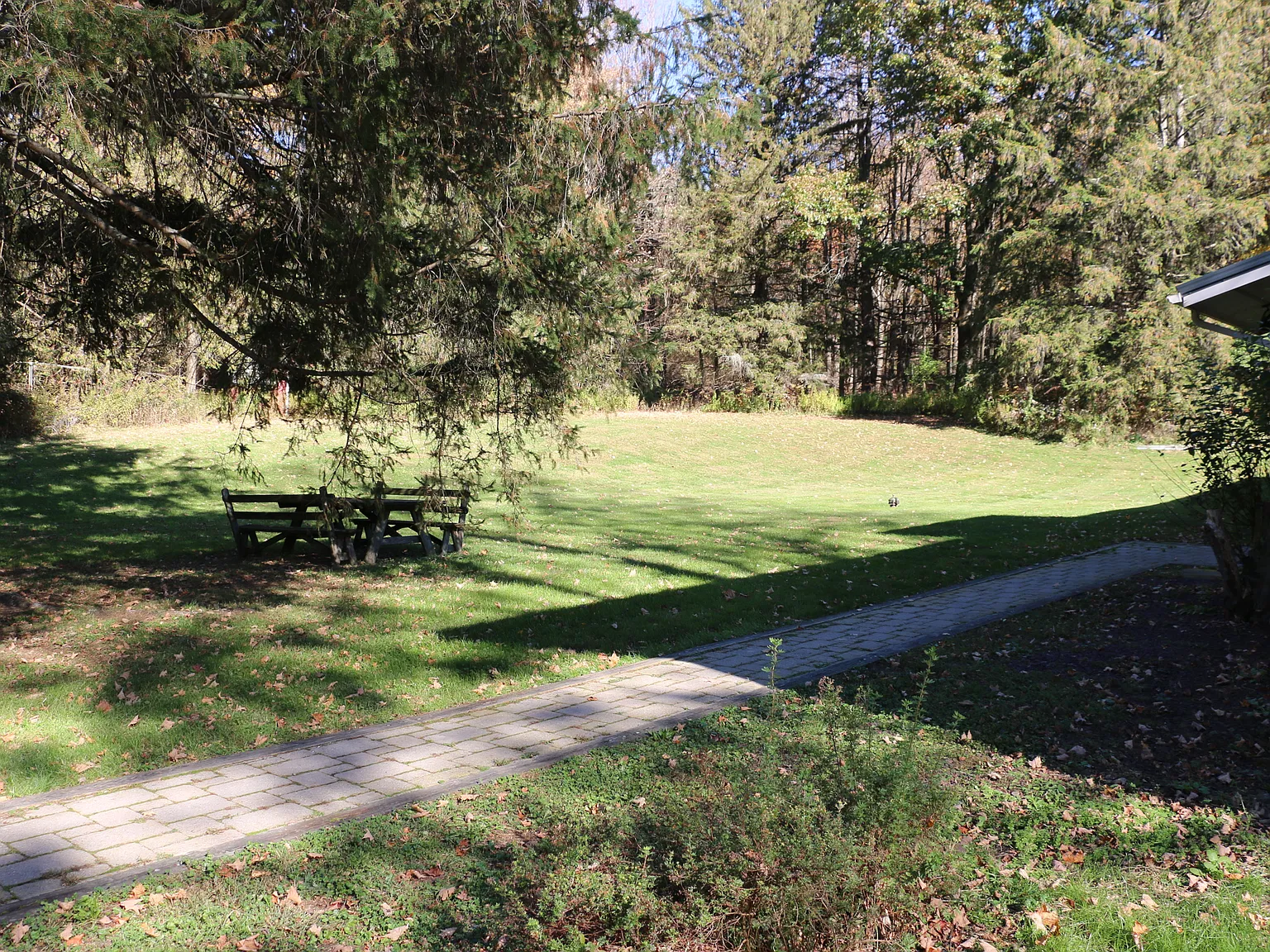 2 bed, 800 sqft, $1,450 — Photo 3