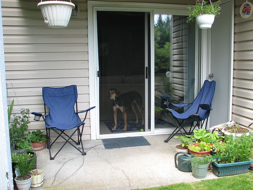 South-facing patio 