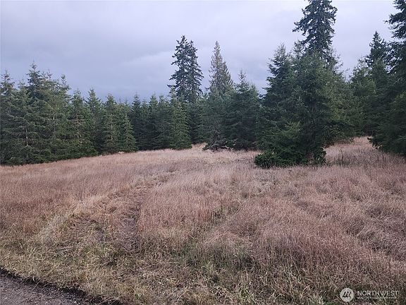 3rd image of 0 Lilly Road