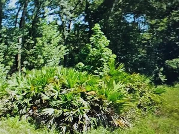 NW 10th Pl #23, Ocala, FL 34482