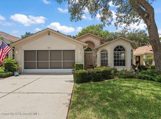 371 Quane Ave, Spring Hill, FL 34609