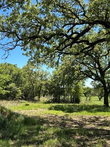 3270 Upper Montague Rd, Bowie, TX, 76230