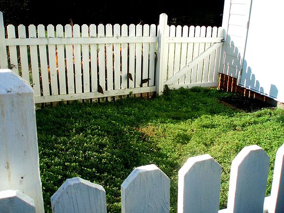 Fenced side yard off garage side entry